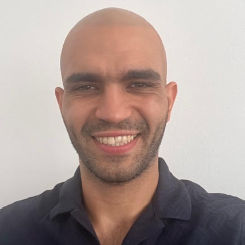 Dr Mohamed Elashry